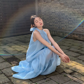 俞兆林（YUZHAOLIN）夏季法式高端度假挂脖无袖洋气网纱连衣裙小众蓝色长裙女 蓝色 L