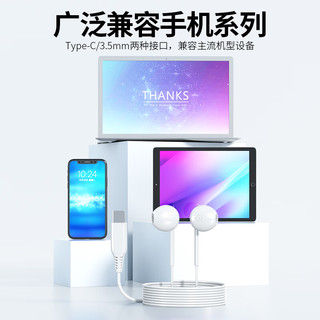 AHW120 半入耳式有线耳机 立体声手机音乐游戏耳机 带麦带线控 Type-c接口 白色