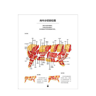 肉料理原来是这么回事儿（饮食生活新提案系列） 亚瑟 勒凯恩  中信出版社图书