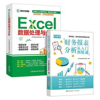 财务报表分析从入门到精通Excel数据处理与分析财务管理财务分析表格教程数据分析 2册【Excel+财务报表】