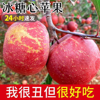 大凉山丑苹果10斤新鲜当季水果青盐源红富士冰糖心丑平果整箱