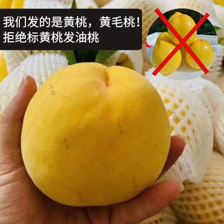 三萌果蔬山东黄桃【/中通】山东脆甜毛桃桃子脆甜桃水果 中果 3斤