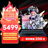 机械革命 极光S/Pro 游 i54060 i5-12450H16G512G RTX4060-8G16