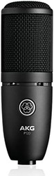 AKG 爱科技 P120 大振膜电容话筒