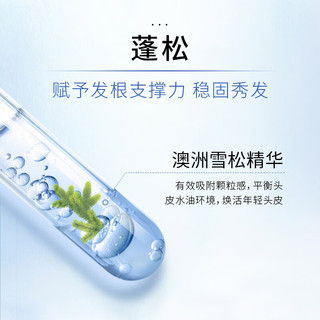 FicceCode 菲诗蔻洗发水桉树精油止痒洗发露护发洗护改善毛躁水润蓬松发质发膜套装