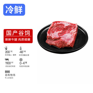 HONDO 恒都 冰鲜黄牛牛腿肉500g 冷藏 谷饲牛肉 炖煮食材