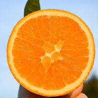 橙之味 江西赣南脐橙 3斤 尝鲜装（单个120-150g）