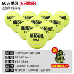 Teloon 天龙 网球训练球初学专业比赛网球送礼品 603进阶六个