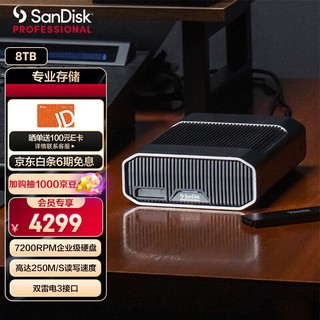 SanDisk professional 闪迪大师 极客 致捷 8TB 企业级桌面移动硬盘 机械硬盘 雷电3兼容USB Type-C 3.5英寸大容量 读写速度250MB/S