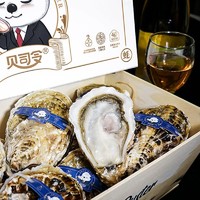 BEISILING 贝司令 刺身级乳山生蚝木箱礼盒装可生食鲜活牡蛎12只装海鲜水产