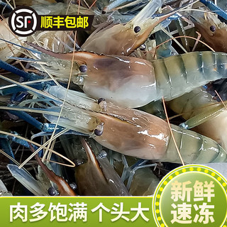 黎麦跃堡 鲜活罗氏沼虾大头虾新鲜速冻海鲜水产 1斤中号21-25  6-8厘米