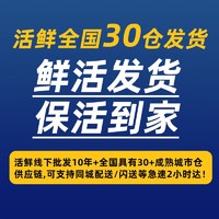 鲜味时刻 鲜活发货 俄罗斯鲜活帝王蟹皇帝蟹超大螃蟹生鲜海鲜 蟹类 5.0斤/整只（鲜活到家）