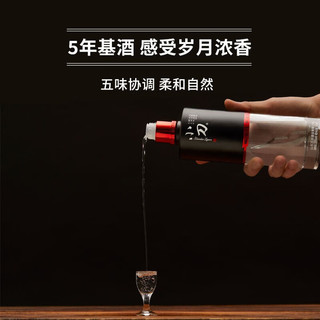 XIAODAO 小刀 酒39度 浓香型黑刀白酒 500mL*2瓶整箱礼盒 送醇香42度 500ml*1瓶