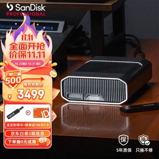 SanDisk professional 闪迪大师 极客 致捷 6TB 企业级桌面移动硬盘 机械硬盘 雷电3兼容USB Type-C 3.5英寸大容量 读取速度250MB/S