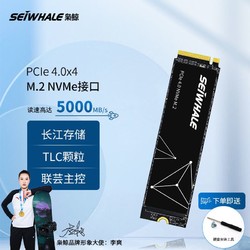 SEIWHALE 枭鲸 台式机笔记本电脑SSD固态硬盘pcie 4.0 1T 2T M.2 NVME S5000