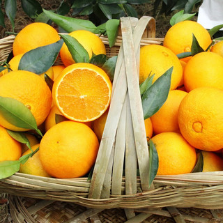 四川爱媛38号果冻橙柑橘子新鲜水果 4.5-5斤精选果  果径60-70mm