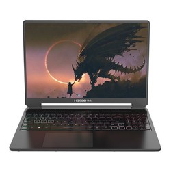 Hasee 神舟 战神T8 16英寸游戏本（i9-13900HX、32GB、1TB、RTX4060）