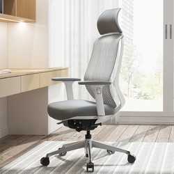 okamura 冈村 sylphy light-X 人体工学椅 灰色白框 含头枕