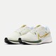 NIKE 耐克 PEGASUS 40 EK 男子公路跑步鞋 BB FV3631-081 41