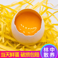 晴果乐 山东土鹅蛋新鲜农家散养鹅蛋当现新鲜大鹅蛋去个12装