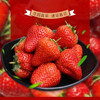 鹿唛红颜99草莓新鲜水果5斤奶油九九奶油草莓大果一整箱 精品99红颜草莓 4斤装 15-18g+