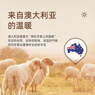 MENDALE 梦洁家纺 丝语澳洲羊毛四季被 150×200cm