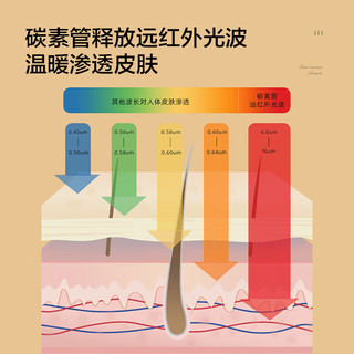 AIRMATE 艾美特 取暖器/电暖器家用/小太阳/复古马灯/鸟笼子电暖气/电热炉 柔光节能高热小太阳 WR30-X1