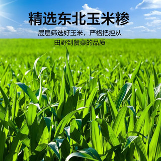 惠寻 京东自有品牌   农家自产精选玉米糁新鲜精品玉米渣500g*1