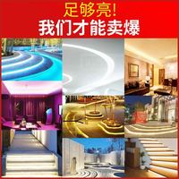 绿动力 LED灯带条220V客厅吊顶室内自粘三色变光灯条户外摆摊防水氛围灯
