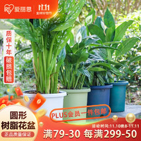 IRIS 爱丽思 Deepot加厚树脂花盆圆口塑料绿萝绣球月季铁线莲花 10号浅绿色