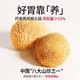江中 猴姑饼干猴头菇养胃早餐体验装 酥性饼干+苏打饼干