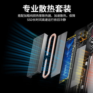 ORICO 奥睿科 M.2NVMe协议PCIe3.0x4固态硬盘SSD
