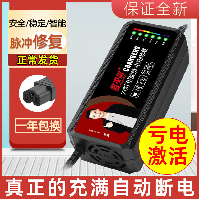 鑫凌霄 电动车电瓶充电器48V12AH20AH60V72伏爱玛雅迪台铃电车三轮车通用