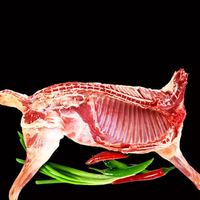 抖音超值购、移动端：碱滩羊 半只羊8-15斤 新鲜草原羊肉 直播现场分割家宴好礼