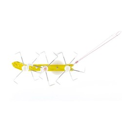 KIKKERLAND 发条玩具铁皮蚂蚁造型上弦典怀旧上链节日用品创意礼品