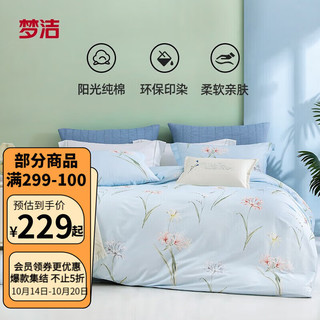 床上四件套纯棉床单被套被罩全棉床品套件 风之絮 1.8m床(被套220*240cm)
