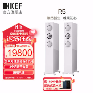 KEF R5 家庭影院 HiFi高保真扬声器 同轴三分频音响 2.0声道家用客厅电视音箱发烧无源落地主箱 1对 白色