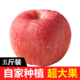 鲜级佳 山东烟台红富士苹果   新鲜5斤装大果  值友下单免费升级特大果