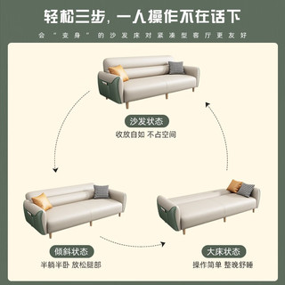 ZHUOZHI 卓芝 布艺沙发床（升级耐磨猫抓布） 3人位(长1.7米*宽0.95米)配2抱枕