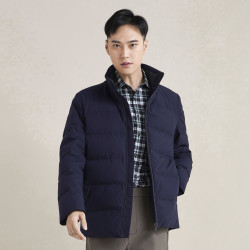 youngor雅戈尔秋冬季保暖蓬松轻量男士羽绒服儒雅绅士立领男装外套