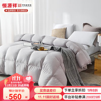 恒源祥羽绒被子被芯95%白鹅绒加厚保暖冬被大朵绒双人居家宿舍亲肤被褥 灰色 220*240cm总重4斤
