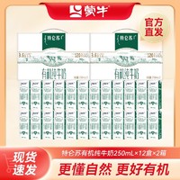 抖音超值购：特仑苏 有机纯牛奶全脂优质牛乳250ml×12包×2箱学生