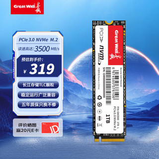 Great Wall 长城 1TB SSD固态硬盘 M.2接口(NVMe协议)PCIe 3.0x4 GW3500系列 读速可高达3500MB/s