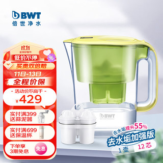 BWT 倍世 净水壶滤水壶净水器家用 欧洲去水垢滤芯 益家4.2L大容量厨房客厅通用 1壶12芯