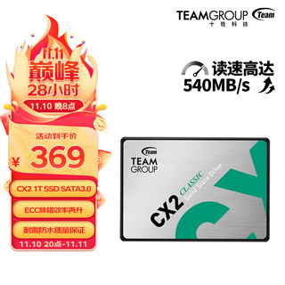 Team 十铨 科技 （Team）SSD固态硬盘CX2 GT2台式机笔记本电脑适用 SATA3 十铨 CX2 1T