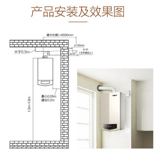 史密斯（A.O.SMITH）AO史密斯燃气壁挂炉一级能效 24KW家用冷凝炉E10 一级能效 热效率高达108%