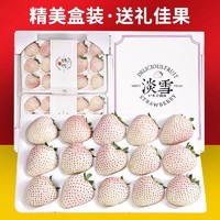松筱 淡雪草莓白粉色草莓日本引进品种新鲜水果送礼品物盒 精品礼盒丨2盒500g