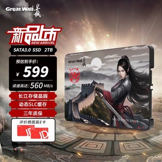 Great Wall 长城 2TB SSD固态硬盘 SATA3.0接口 长江存储晶圆 国产TLC颗粒高速稳定读写 GT580系列