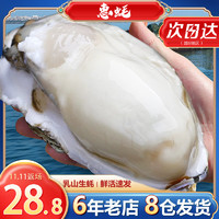 惠蚝 乳山生蚝鲜活带箱5斤特大牡蛎肉海蛎子海新鲜水产商用批发10