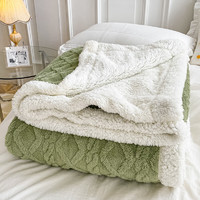 索隆双面绒AB版塔芙绒羊羔绒毯子双层加绒毛毯 塔夫毯-茶绿DB 150*200cm约2.5斤
